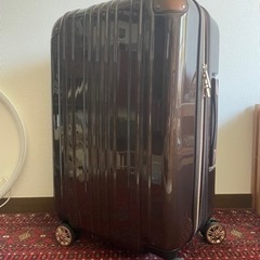3〜5泊 スーツケース キャリーケース