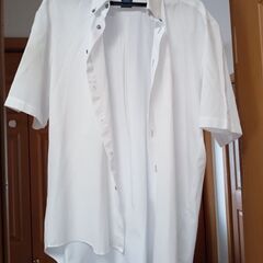 ボタンダウン ワイシャツ 4L 半袖 白 グレーボタン Yシャツ...