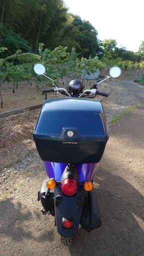 トゥデイ AF61キャブ車 実働中古車両 走行距離2700km!