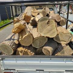 ニセアカシア？原木詰め合わせ　トン前後はあるかな？ ニセアカシア？原木詰め合わせ トン前後はあるかな？