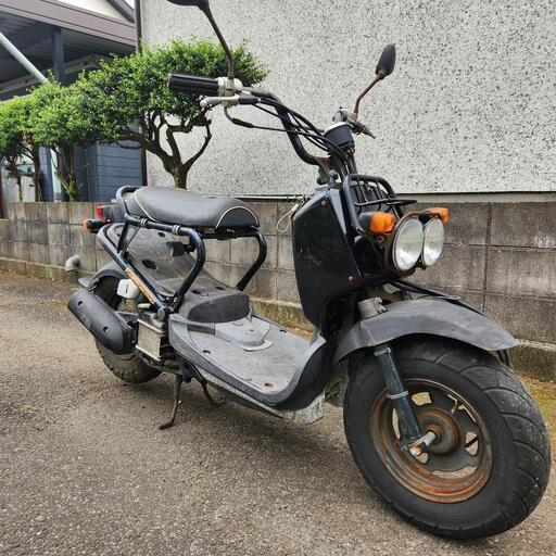 ズーマー　ZOOMER　バッテリー新品　色々整備しました　千葉県より　配達可能！