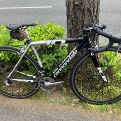 お買い得? cannondale 700cc ロードバイク/CAAD10 キャノンデール NO.1316