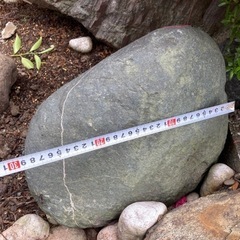 30~50cm程度の庭石