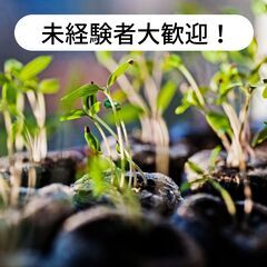 愛媛県松山市高井町で水稲の苗並べ及び出荷作業等のお仕事！【…
