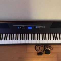 電子ピアノ ALESIS Rectial Pro 中古品 (5/...