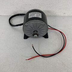 【GINDUN MOTOR】 DCモーター 電動モーター 24V用 16A 出力300W 2,750rpm ZY1016 N0064YG