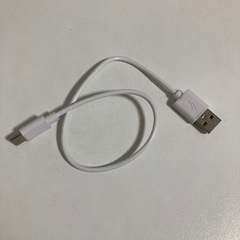 タイプC USB 2充電ケーブル 白 Tipe-C