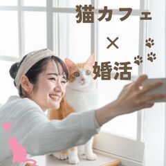 【鎌倉】保護猫カフェ婚活イベント！鎌倉にある人気保護猫カフェ「ねこの間」を貸し切っての少人数婚活イベントを開催致します！の画像