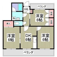 ｟3DK｠💙フリーレント1ヵ月❕敷０＆礼０❕川越市❕デザイ…