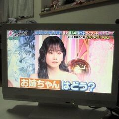 液晶テレビ（ピクセラ PRD-LA103-16W）