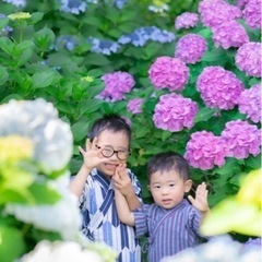 夏を先取り！和を楽しむ紫陽花フォト撮影会