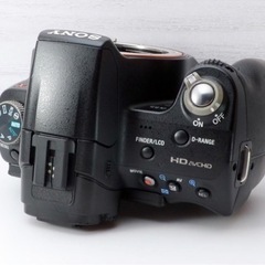 ★SONY α55★スマホ転送●超望遠●高速AF●Wズームレンズ  1ヶ月動作補償あり！ 安心のゆうパック代引き発送！ 送料、代引き手数料無料！