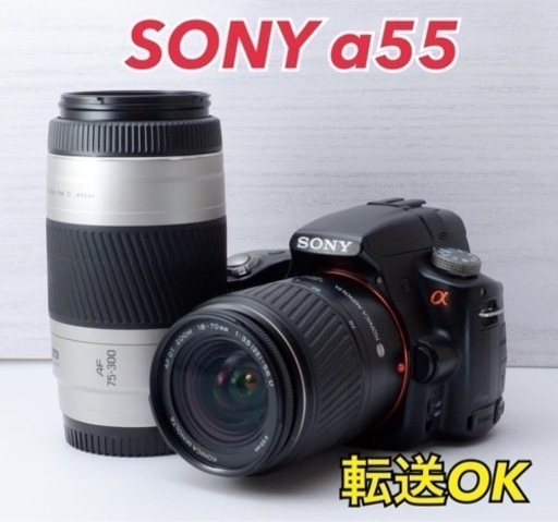 ★SONY α55★スマホ転送●超望遠●高速AF●Wズームレンズ  1ヶ月動作補償あり！ 安心のゆうパック代引き発送！ 送料、代引き手数料無料！