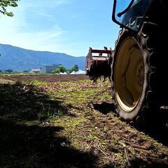 ✨朝の短時間✨週3日からOK✨単純収穫作業✨ - 諏訪郡