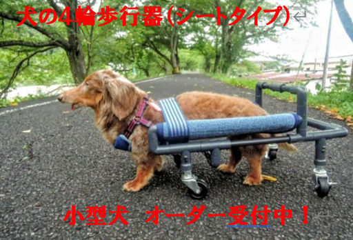 小型犬の４輪歩行器、車いす(シートタイプ）