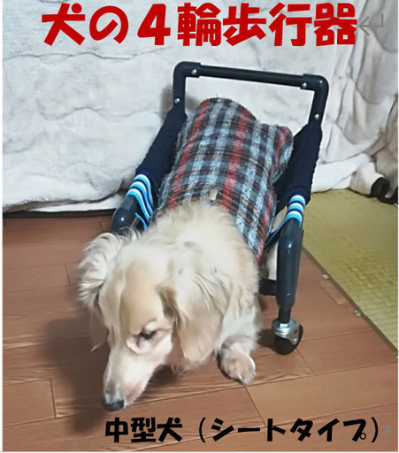 中型犬の４輪歩行器、車いす（シートタイプ）