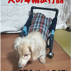 中型犬の４輪歩行器、車いす(シートタイプ）