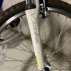 【後輪タイヤ新品交換済み】ルイガノ　24インチ　ジュニア用マウンテンバイク