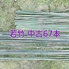 【受付終了】園芸 若竹 11Φ 支柱 67本 中古 サイズ5種