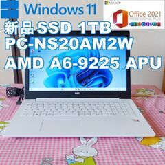 ★ NEC PC-NS20AM2W Windows11/メモリ4...