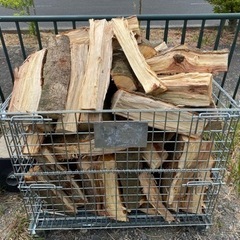処分　広葉樹　タブの木　ストック薪　未乾燥