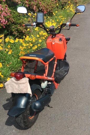 ズーマー　オイル交換済　少し速い　(No.2152) ズーマー オイル交換済 少し速い (No.2152)