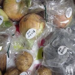 5月24日の新鮮野菜50円コーナーの品出し予定商品です。