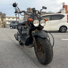 バイク スズキズーマー50cc