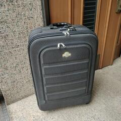 ほぼ新品  Lサイズ デザイン  スーツケース 