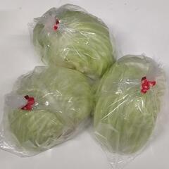 野菜　キャベツ半玉×3個