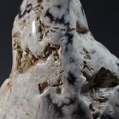 珪化木　瑪瑙化木化石　12.4ｋｇ　忍耐・継続と平常心のパワーストーン　ペトリファイドウッド　アゲート