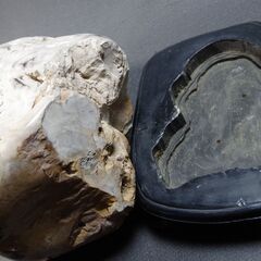 珪化木　瑪瑙化木化石　12.4ｋｇ　忍耐・継続と平常心のパワーストーン　ペトリファイドウッド　アゲート