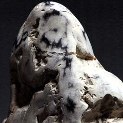 珪化木　瑪瑙化木化石　12.4ｋｇ　忍耐・継続と平常心のパワーストーン　ペトリファイドウッド　アゲート