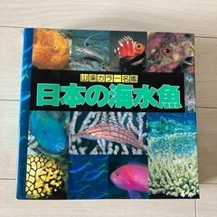 日本の海水魚