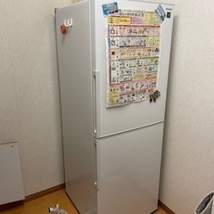 【本日限定】
家電 キッチン家電 冷蔵庫