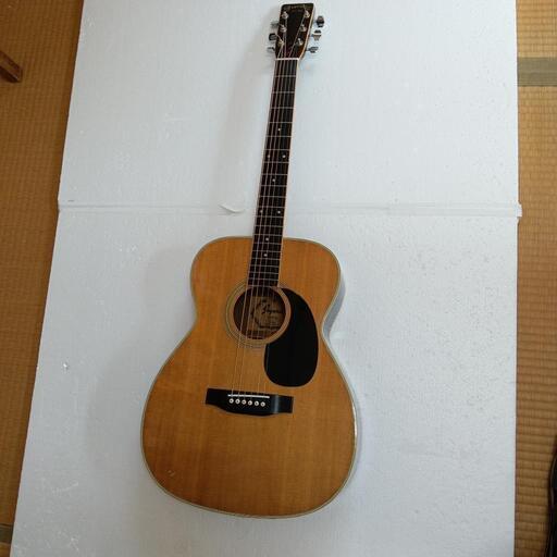 アコースティックギター　ジャガードJagard（寺田楽器）ソフトケース付