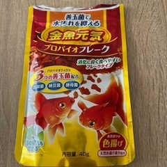 金魚の餌