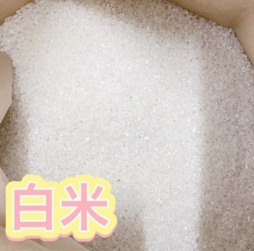 プロフ必読♡Mihana♡ 令和6年産 きぬむすめ 10kg 玄米です プロフ必読♡Mihana♡様専用 令和6年産 きぬむすめ 10kg 玄米です