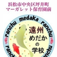 24〜26日　メダカ無人販売