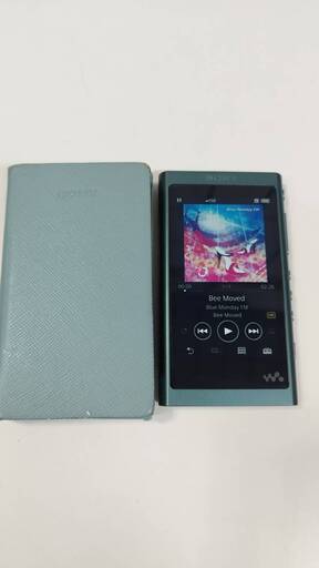 【動作品】SONY ウォークマン NW-A55/16GB