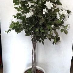 高さ150cm 人工観葉植物 室内 インテリア 造花 鉢付 中古...