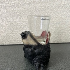 カナダ土産　ショットグラス