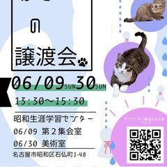 6/9(日)　猫の譲渡会　in　名古屋市昭和生涯学習センター