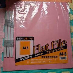 フラットファイル　A43枚入