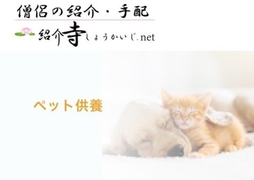 お坊さんによるペット（動物）の葬儀、供養　全国対応