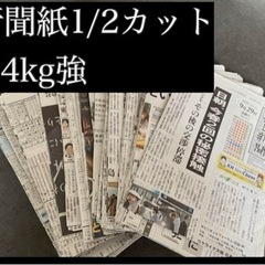 新聞紙　1/2カット済み