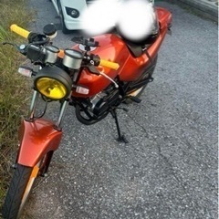 HONDA NS50F バイク