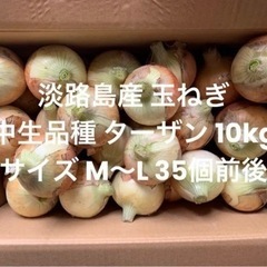 兵庫県 淡路島産 玉ねぎ M～L無選別 10kg 中生品種 ター...