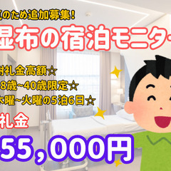 ＜人気のため追加募集！＞協力金15.5万円の宿泊モニター！