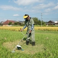 草刈り・草むしり